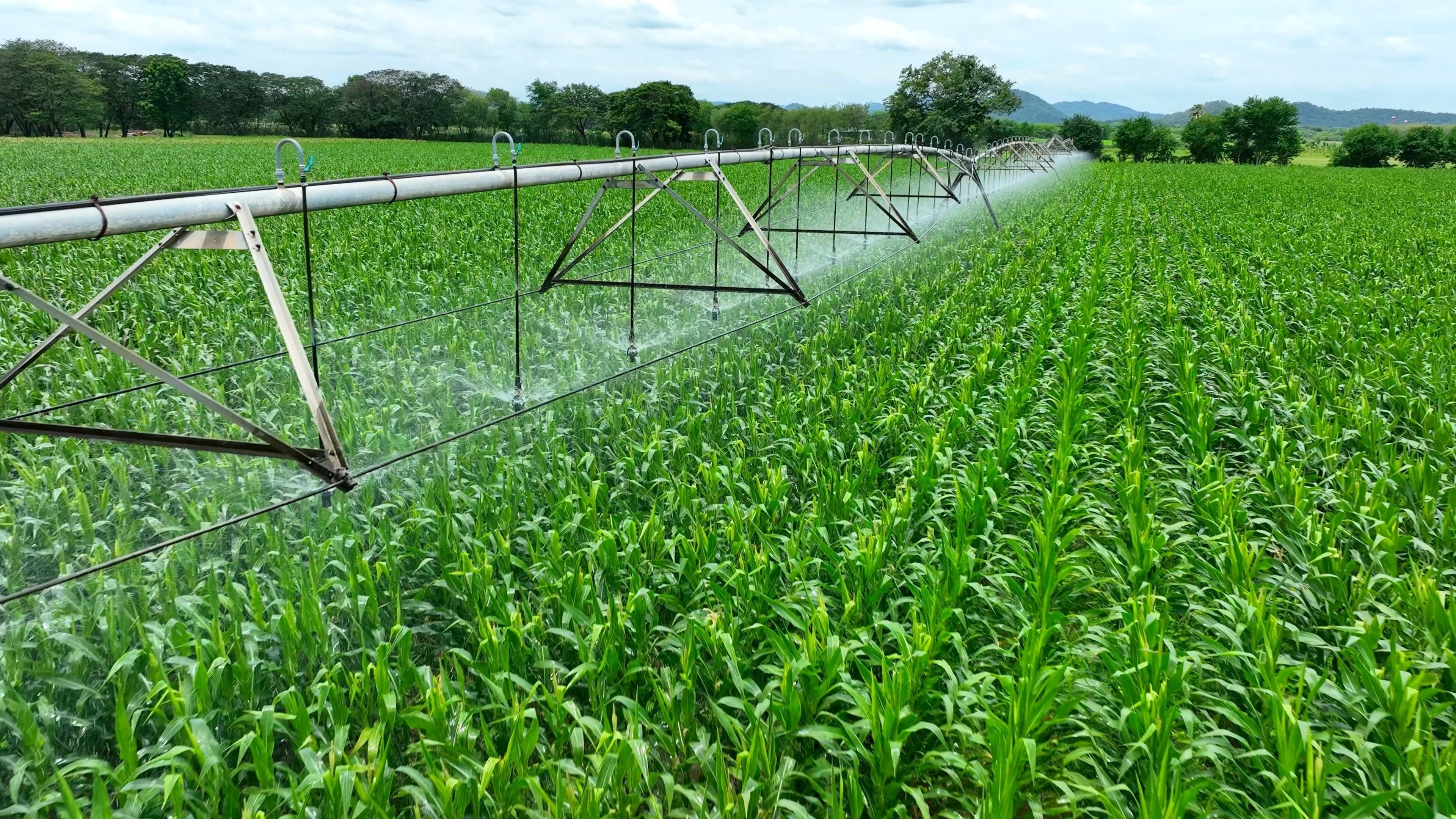 Our biostimulant products