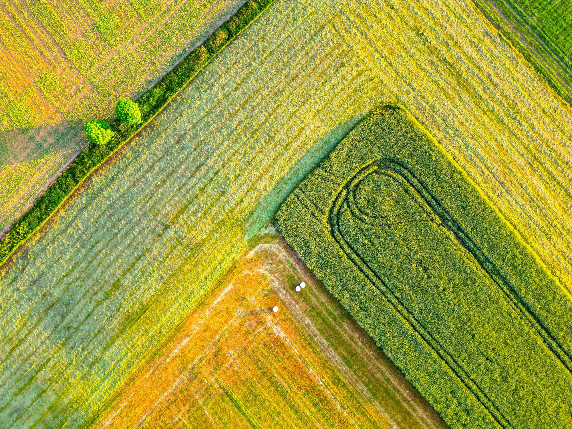 Expansion for a Crop Protection Company